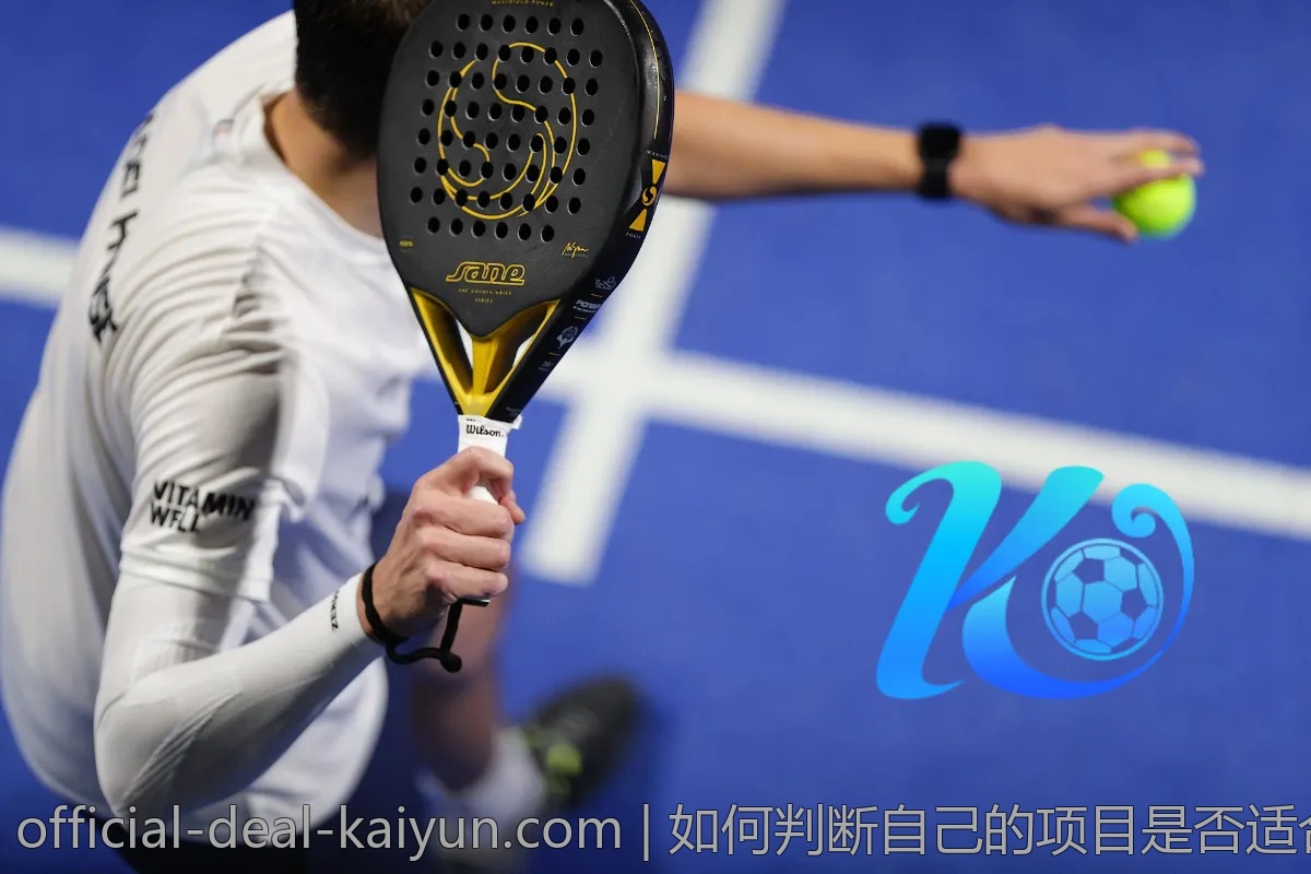 如何判断自己的项目是否适合Kaiyun?专业解读