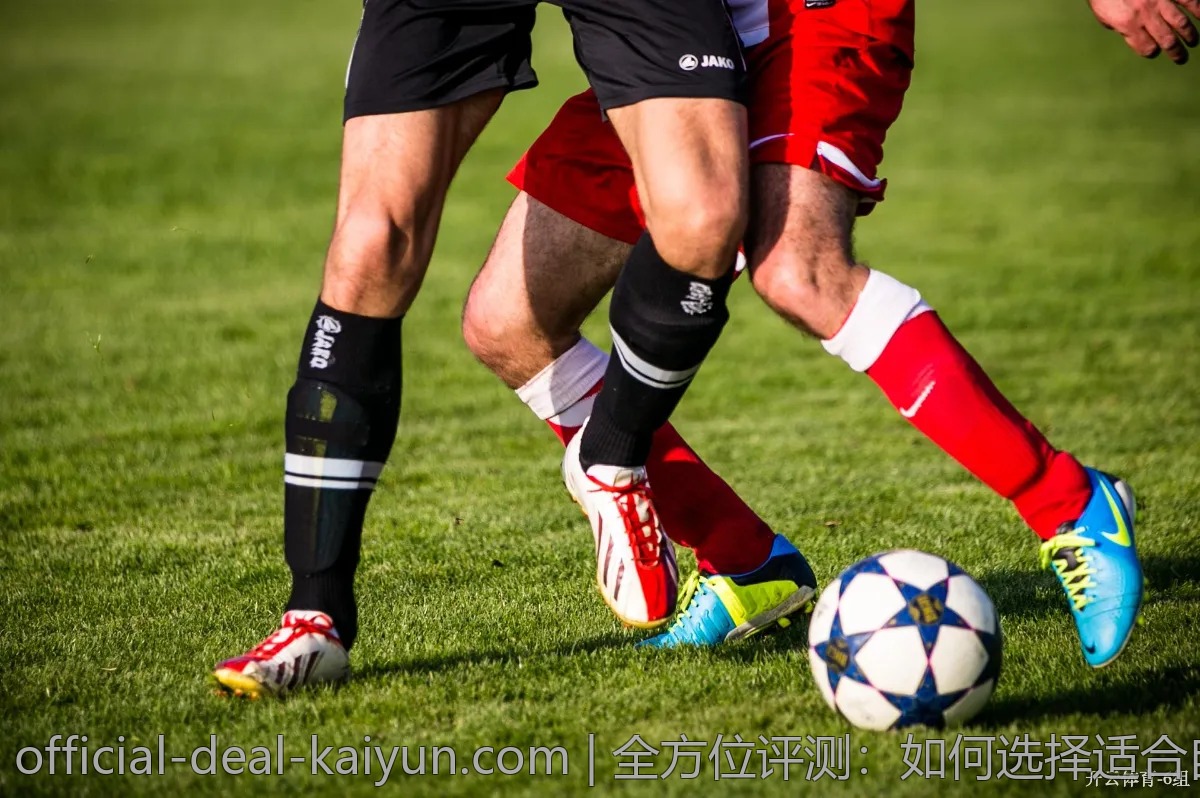全方位评测:如何选择适合自己的开云体育功能
