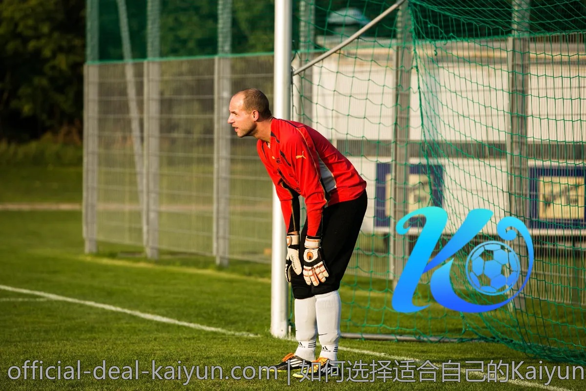 如何选择适合自己的Kaiyun APP版本?实用建议一览