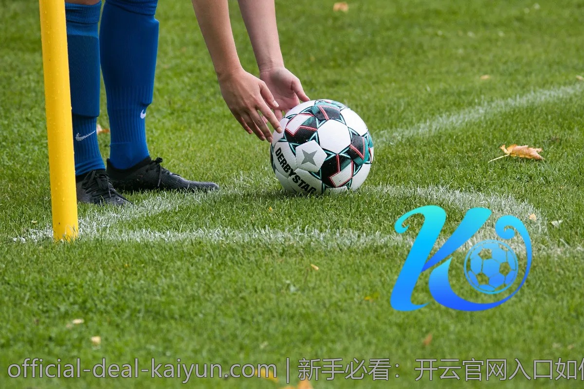 新手必看：开云官网入口如何找到，登陆技巧分享