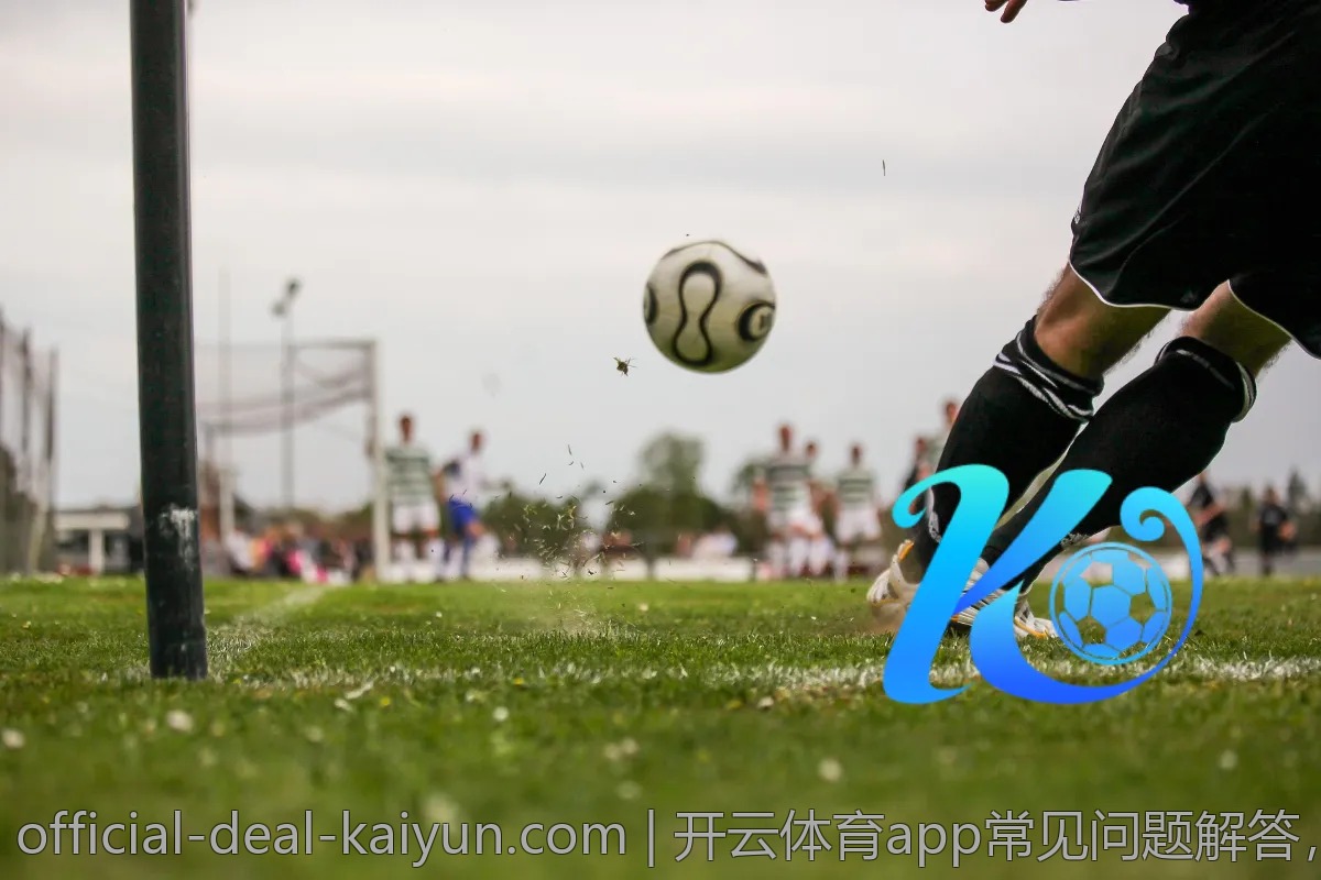 开云体育app常见问题解答，轻松搞定使用难题